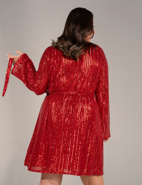Sparkles Dress